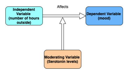 dissertation conceptual framework template